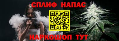 индика Моздок