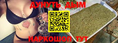 индика Моздок