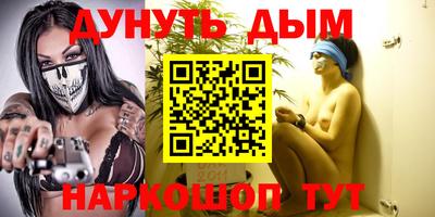 индика Моздок